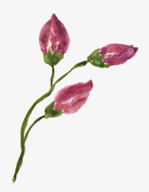 This Graphics Is Rose Flower Branch Transparent Decorative - Portable Network Graphics