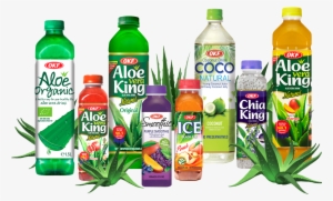 Aloe Drink - Okf Avk020 Aloe King Mango, 1.5 Liter - Case Of 12