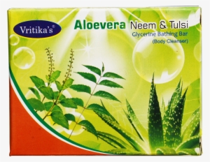Image Royalty Free Library Soaps Neem Tulsi Sandal - Aloe Vera Plant