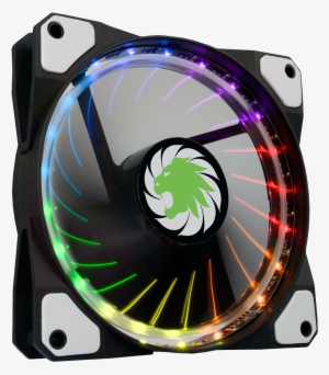 Vortex-1