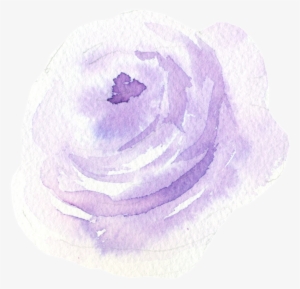 Este Gráficos Es Pintado A Mano De Luz Violeta Flores - China Rose