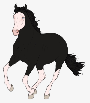 Photo Gunshot - Mane