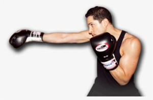 Contact - Professional Boxing