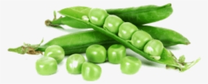 Peas Png