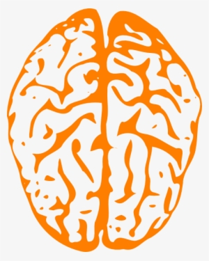 How To Set Use Orange Brain Svg Vector