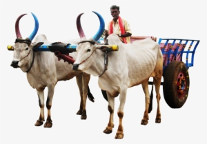 Jugaad Render - Bullock Cart Image Png