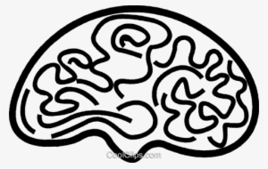 Brain Royalty Free Vector Clip Art Illustration - Illustration