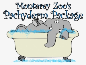 Pachyderm Package Logo - Elephant In A Bathtub