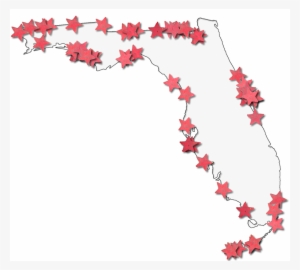 A Map Of Florida With A Thin Black Outline, Inner Drop - Florida