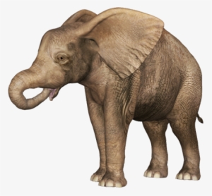 Baby Transparent Images Png - Elephant With Baby Png