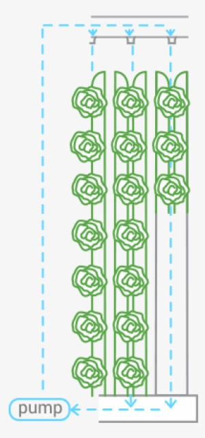 Drip-irrigation - Irrigation