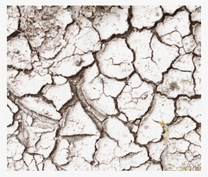 Cracky Decals - Close-up