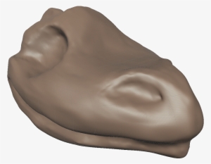 Progress 2 3 Quarter - Boot