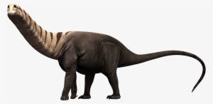 Brontosaurus Excelsus - Tyrannosaurus