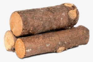 Short Logs - Wood With Transparent Background