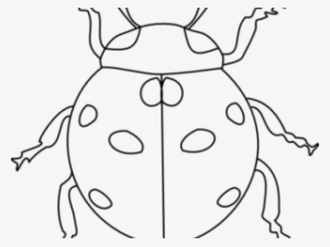 Black And White Ladybug Clipart - Pikapolonica Pobarvanka