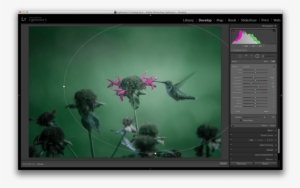 Enter The Radial Filter Tool - Lightroom 3