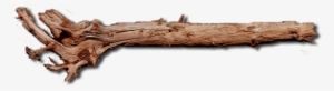 Dundjinni Mapping Software Forums - Old Wood Log Png