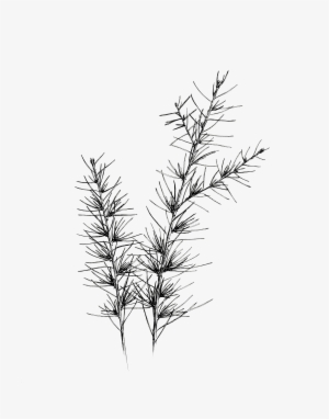 About - Illustration