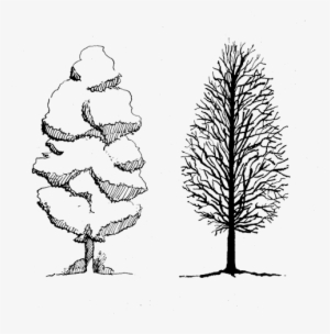 Helpful Resources And Links To Get You Oriented - Illustration