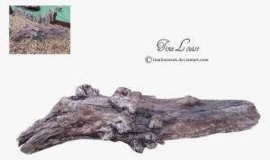 Log Png Image - Tree Log Png