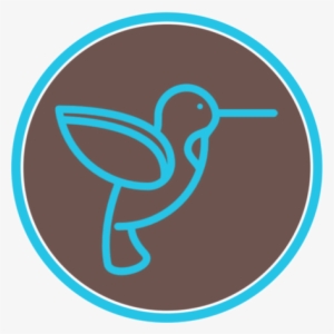 Preschool & Kindergarten - Duck