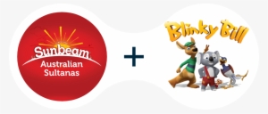 The Strategy - Sunbeam Mixed Fruit 375g