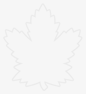 Hide Logo Outline - Maple Leaf