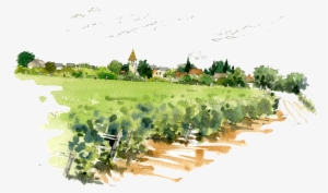 Its - Domaine Trapet