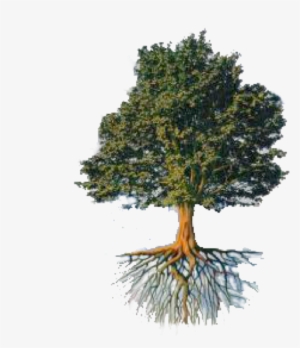 Tree And Roots Png Vector Stock - Paris Hotel And Casino