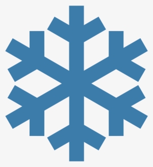 Snowflake Vector Flex - Bcg Medac