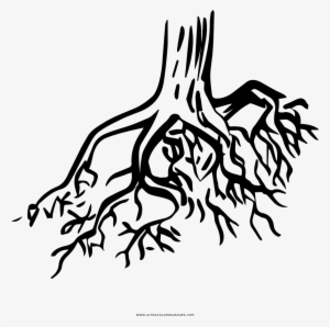 Tree Roots Coloring Page - Raices Para Colorear