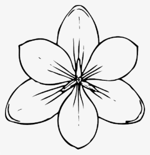Mb Image/png - Coloring Pages Of Flowers