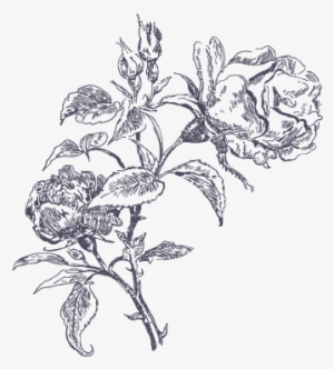 Flowers Arrangement