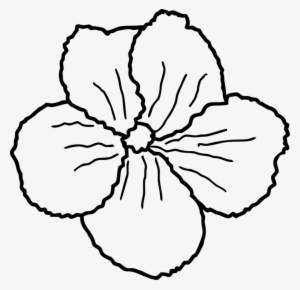 Floral Design Flower Drawing Line Art Petal - Clip Art