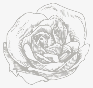 Download & Share Our Collection Catalog Below - Lulu Guinness Womens Navy & Chalk Ink Roses Flat
