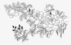 Rosa Multiflora Drawing Flower Sketch - Flower Sketch Design