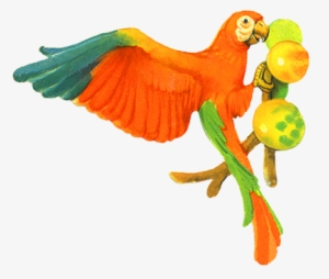 Parrot Eating Fruits Clip Art - Parrot Eating Fruit Clipart