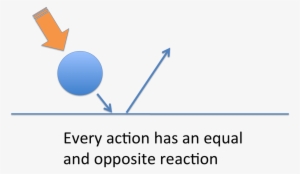 Newton's Third Law Ball