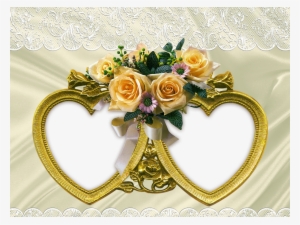 Good Night Yellow Rose