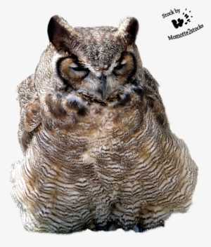 Cut-out Stock Png - Portable Network Graphics