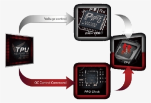 Advantages Of Asus - Watch Phone