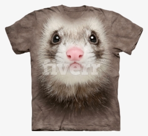 Ferret T Shirt