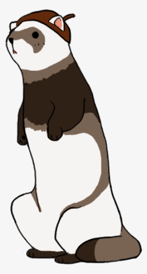 Teh Ferret - - Ferret Cartoon Png
