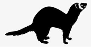 Mink Drawing Polecat - Ferret