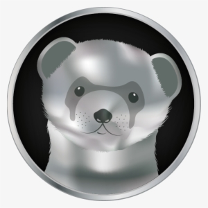 Silver Ferret - Ferret