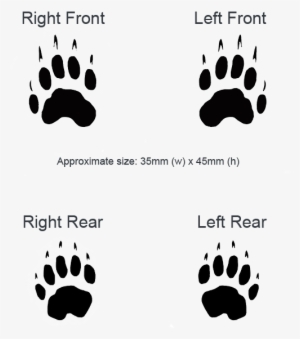 The Search For Badgers - Badger Print