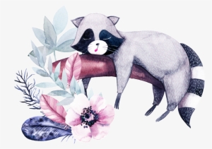 Hand Drawn Botanical Animal Cartoon Watercolor Beautiful - Обои На Рабочий Стол Скачать Еноты