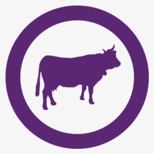 Http - //www - Buzzable - Biz/wp Blog Post - Save A Cow Eat A Vegan Note Cards