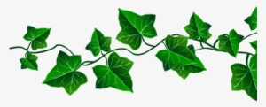 Best Wild Flowers Free And Vines These - Transparent Background Vine Png